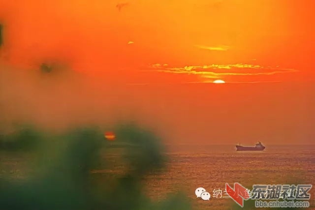 24_看图王.web.jpg