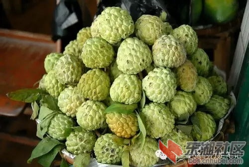 43_看图王.web.jpg