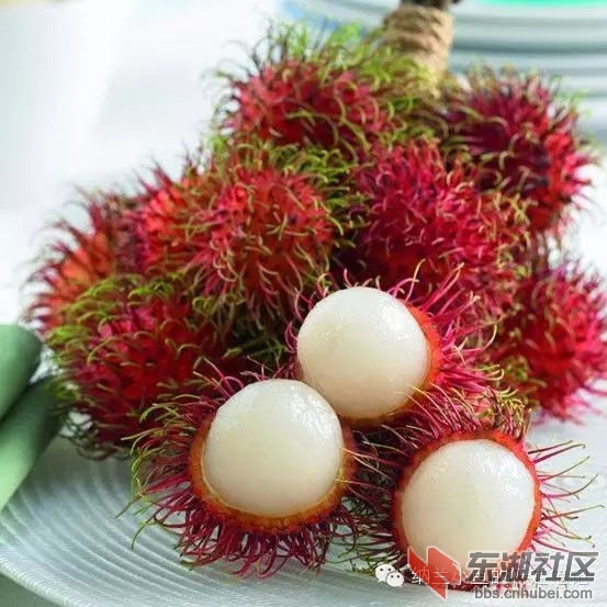 44_看图王.web.jpg