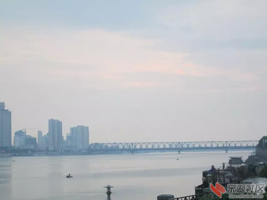 262.jpg