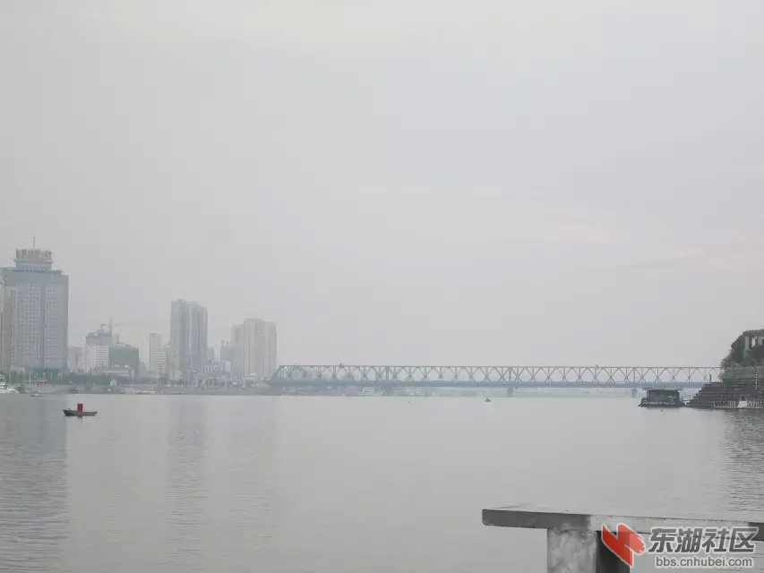267.jpg