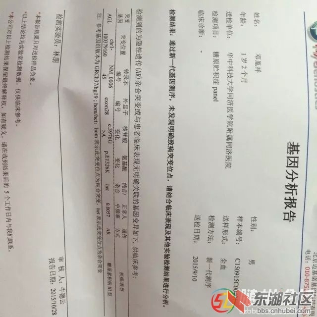 基因检查报告