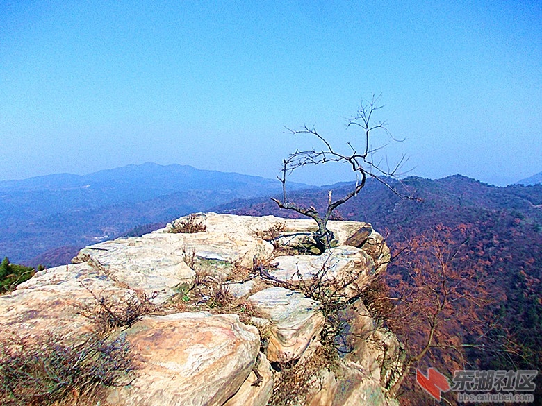 DSCN0705_副本.jpg