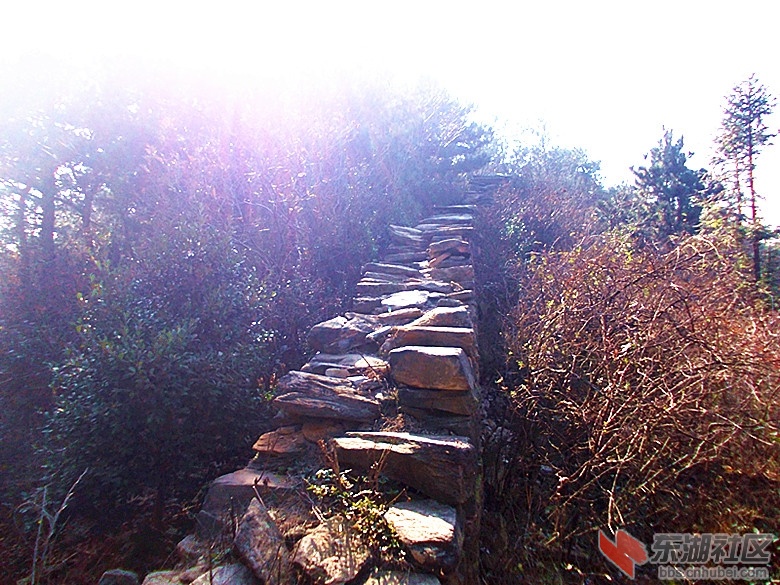 DSCN0710_副本.jpg