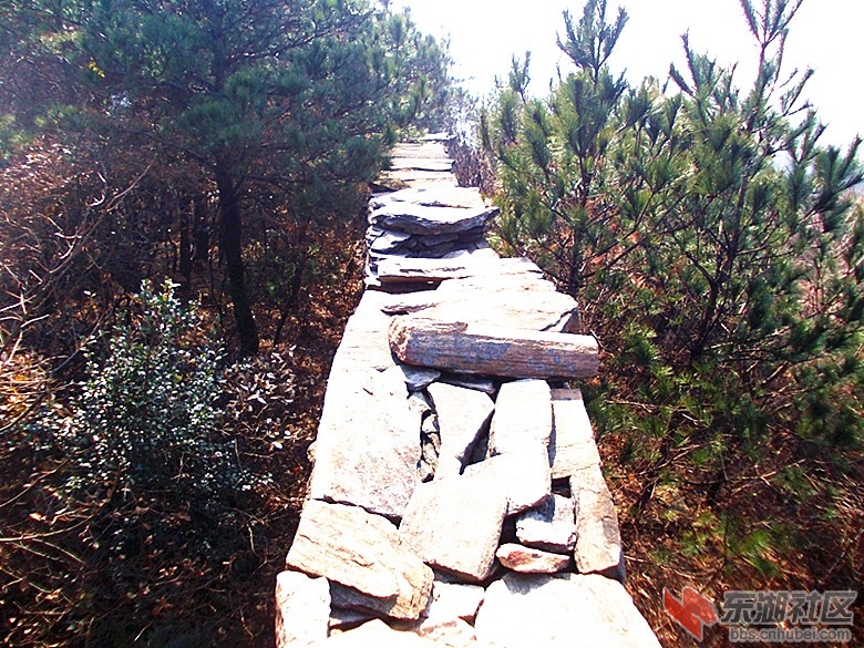 DSCN0715_副本.jpg