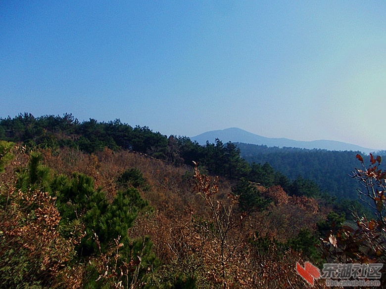 DSCN0717_副本.jpg