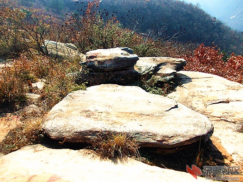 DSCN0719_副本.jpg