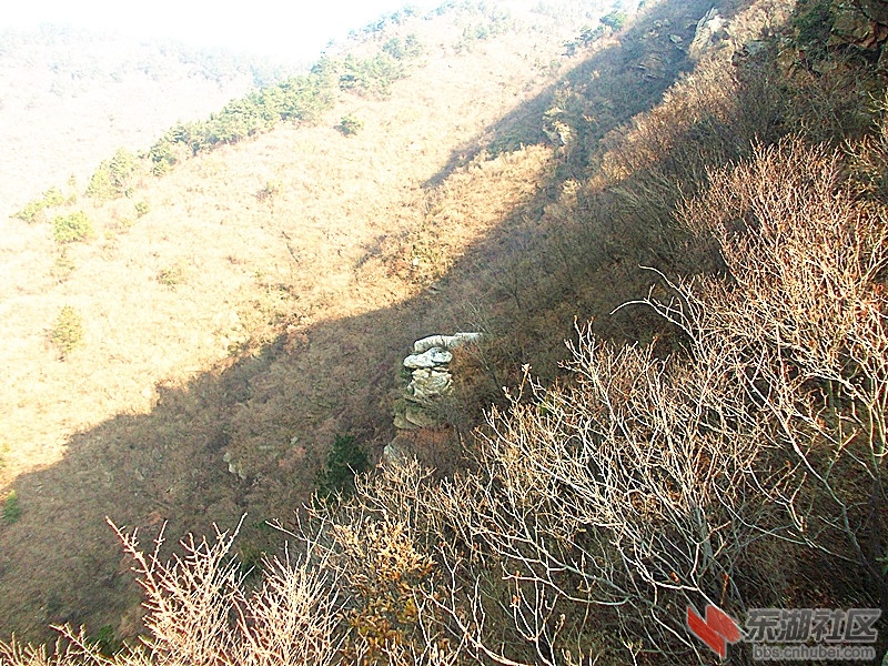 DSCN0739_副本.jpg