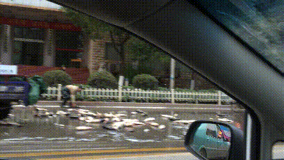 02.gif