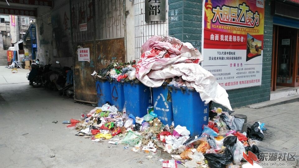 QQ图片20151218152502.jpg