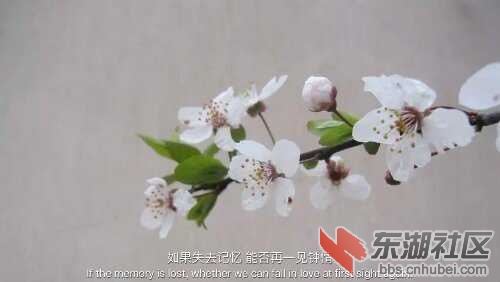 IMG1450271683695.jpg