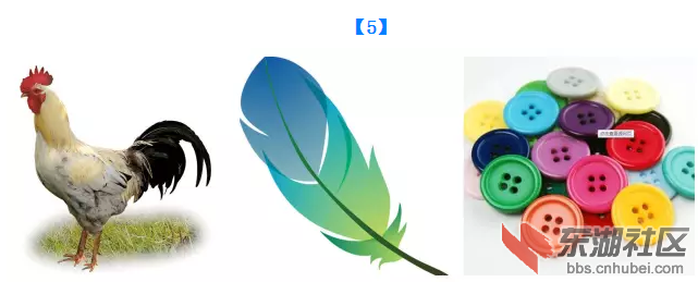 QQ图片20151219130543.png