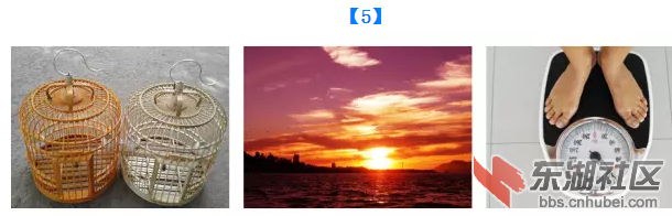 QQ图片20151219130949.png