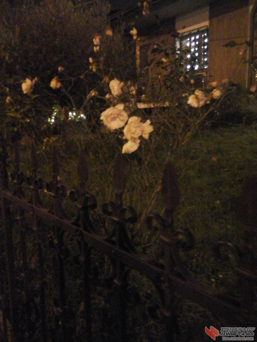 20151218_192834.jpg
