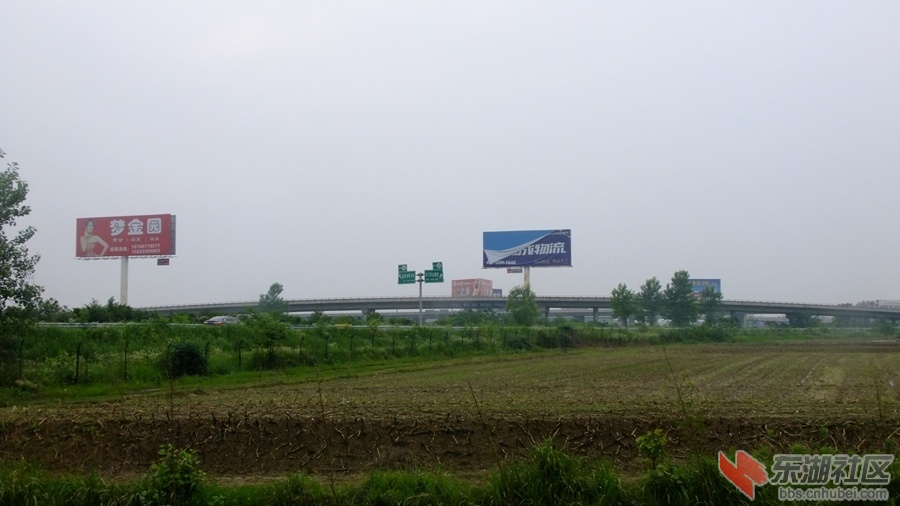 G50与随岳高速互通桥1.jpg