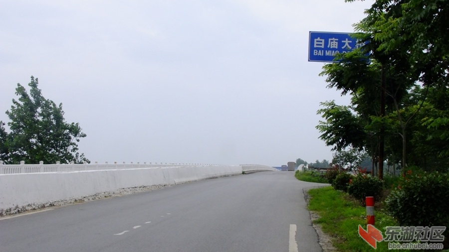 东荆河白庙大桥2.jpg