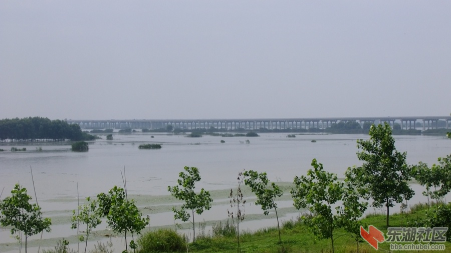 孝仙嘉高速东荆河大桥4.jpg