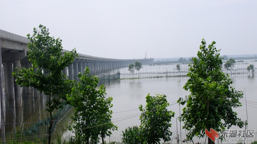 孝仙嘉高速东荆河大桥7.jpg