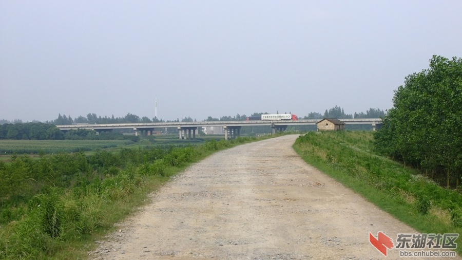 随岳高速东荆河大桥4.jpg