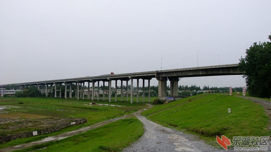随岳汉江大桥12.jpg