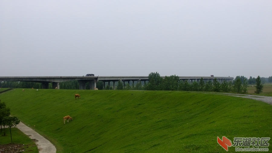 随岳汉江大桥2.jpg