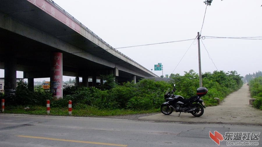 随岳高速318大桥.jpg