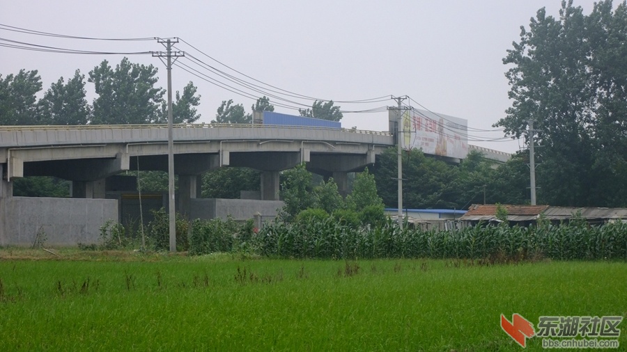 和平路高架桥2.jpg