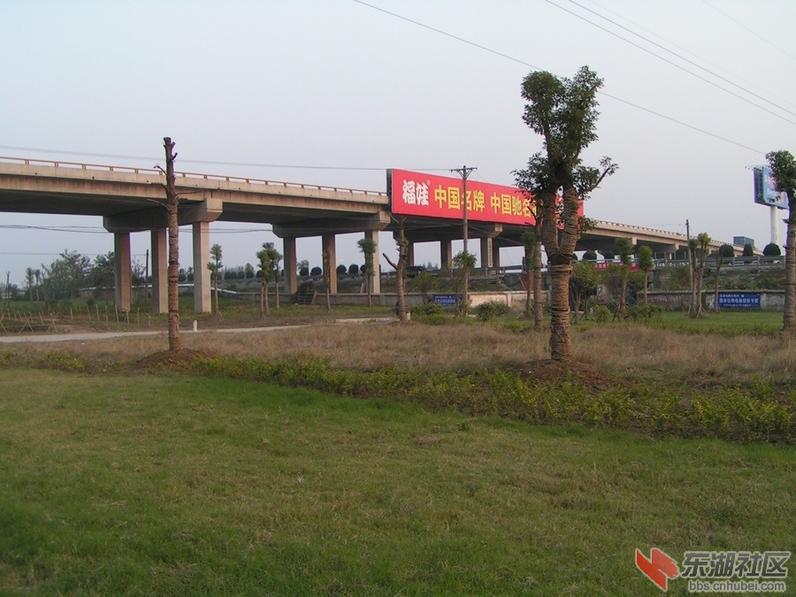 刘口高架桥2.jpg