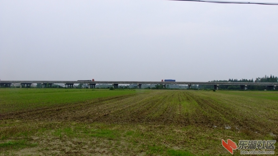 高架桥.jpg