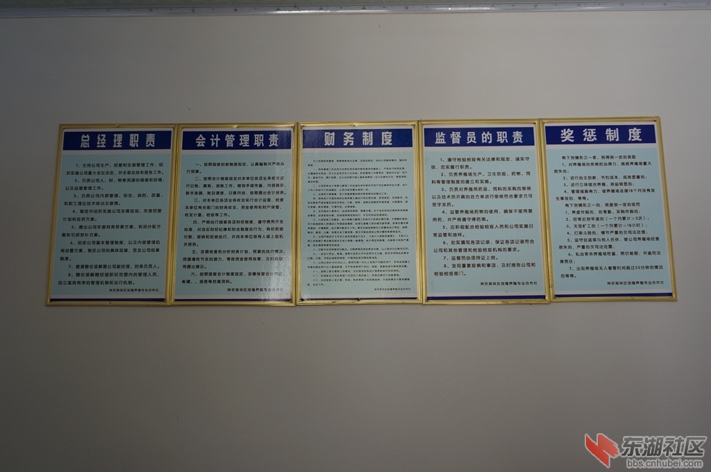 缩小94.jpg