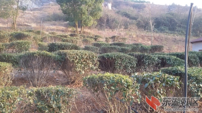 20151218_163159.jpg