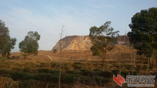 20151218_163130.jpg