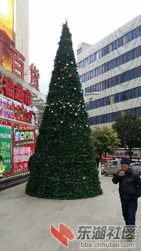 20151224_104951.jpg