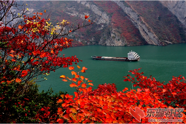 QQ图片20151215135116.png