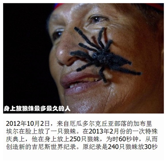 05身上放狼蛛最多最久的人.jpg