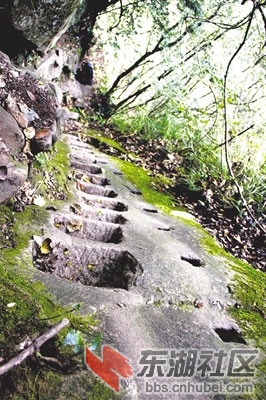 W020151224402162961217.jpg