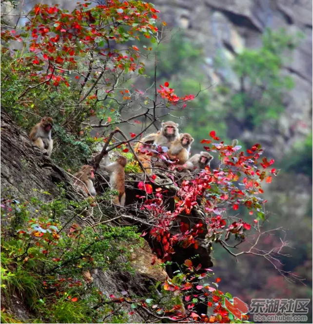 QQ图片20151202153306.png