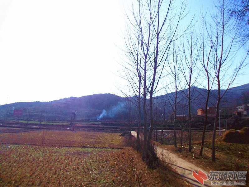 DSCN0824_副本.jpg