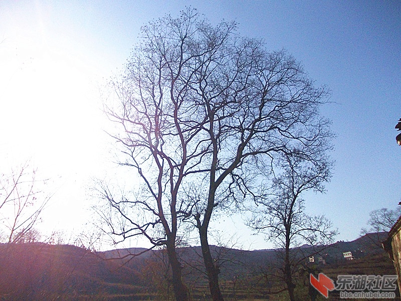 DSCN0829_副本.jpg