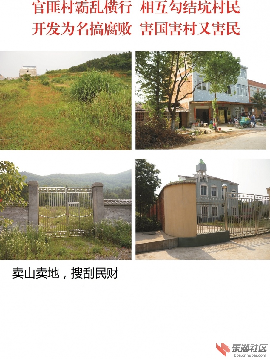吕树桃照片2.jpg