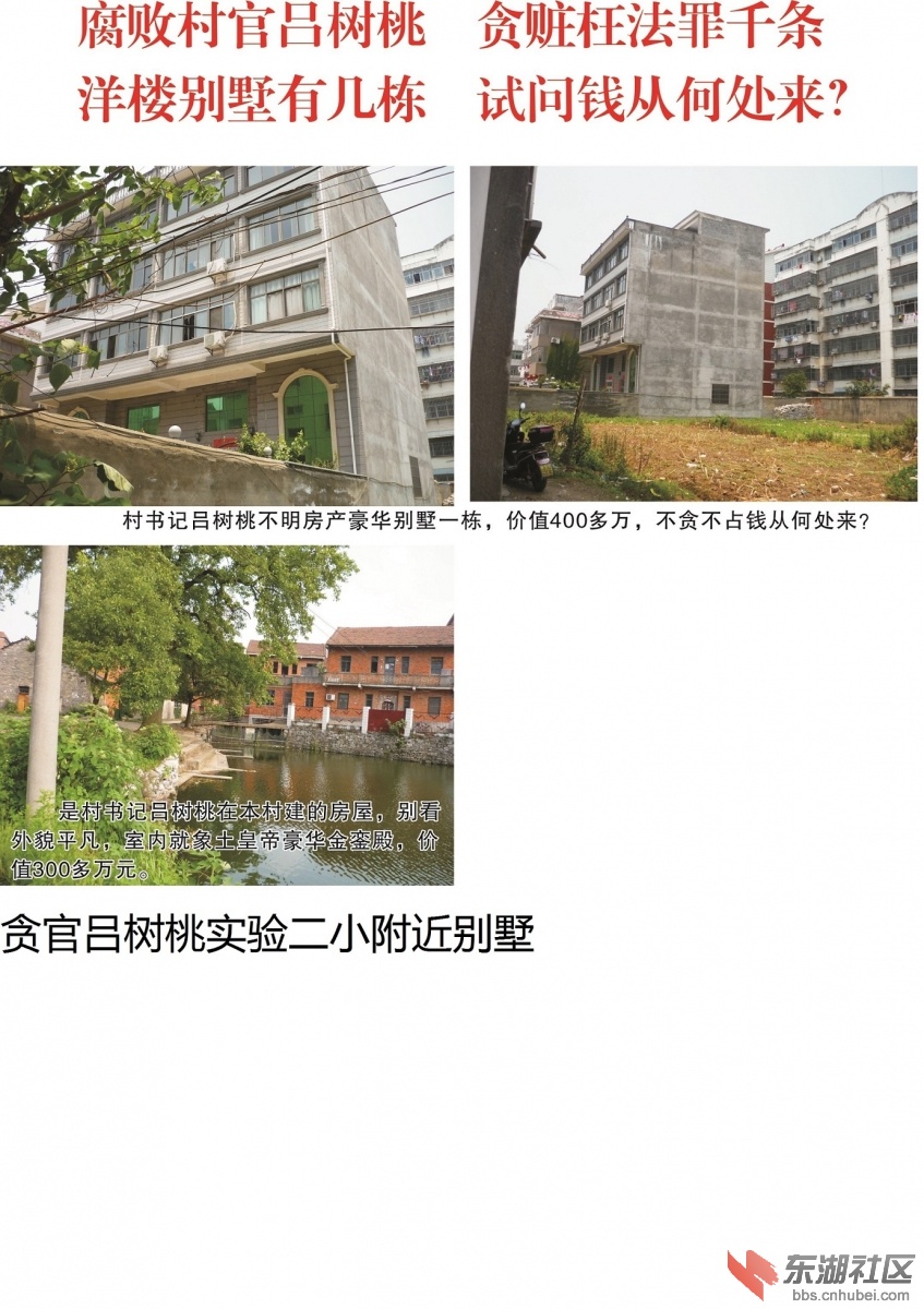吕树桃照片4.jpg