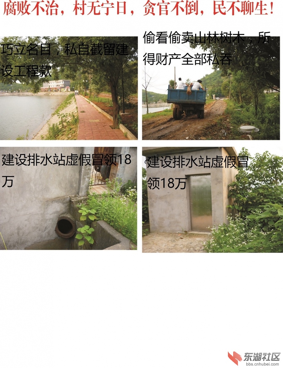 吕树桃照片5.jpg