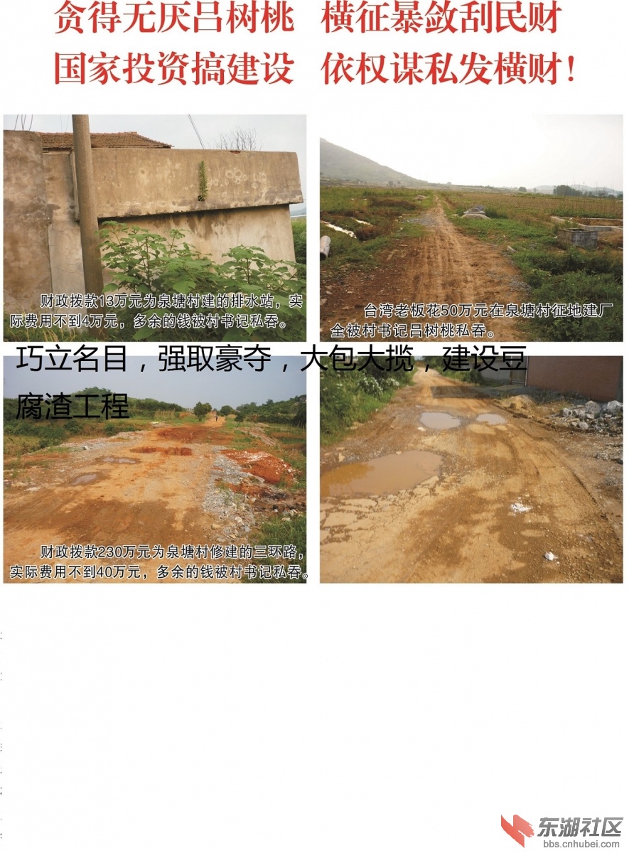 吕树桃照片7.jpg