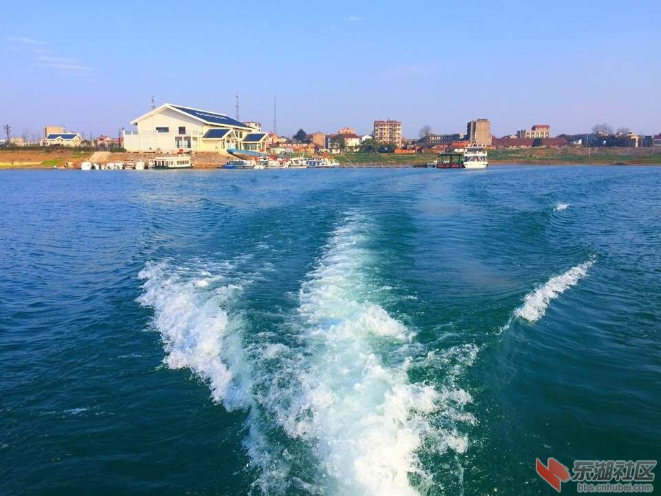 漳河观音岛图片