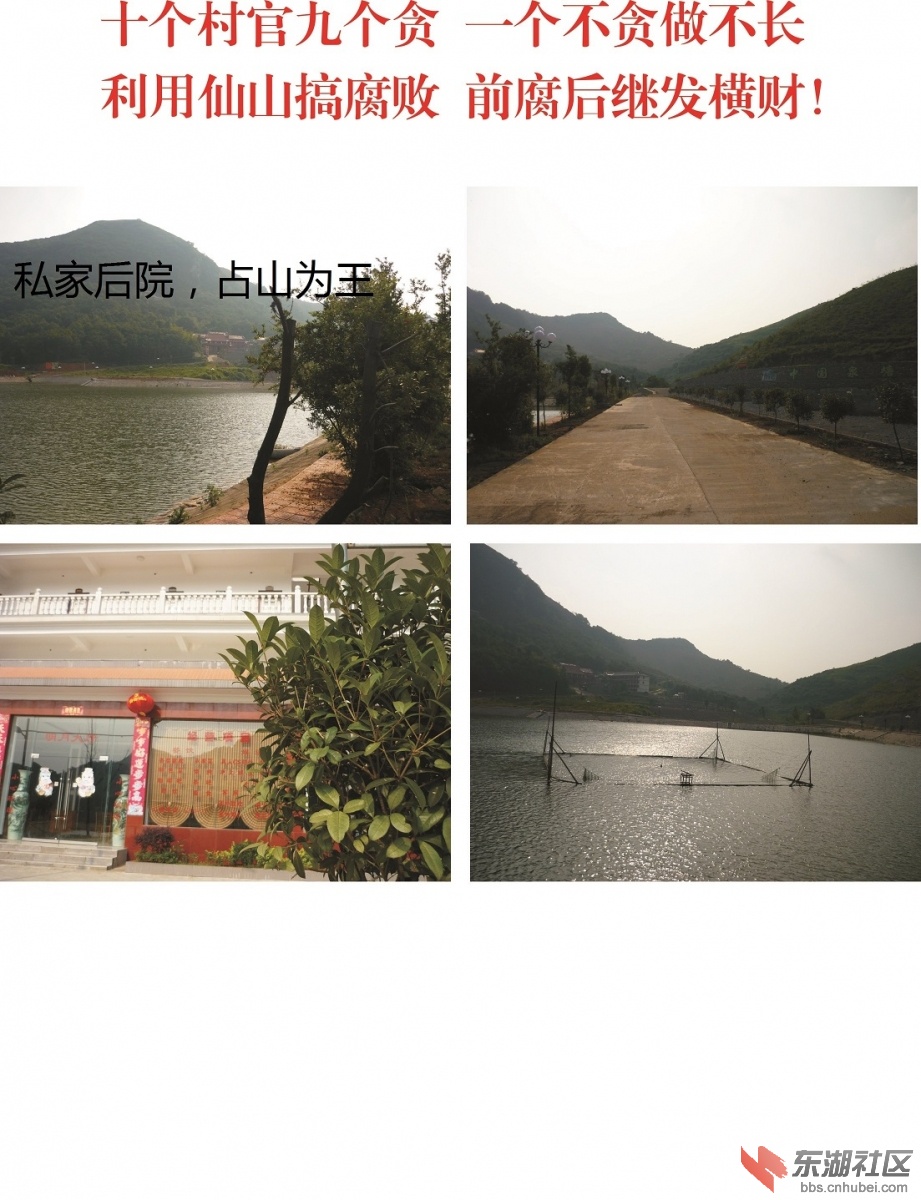 吕树桃照片3.jpg