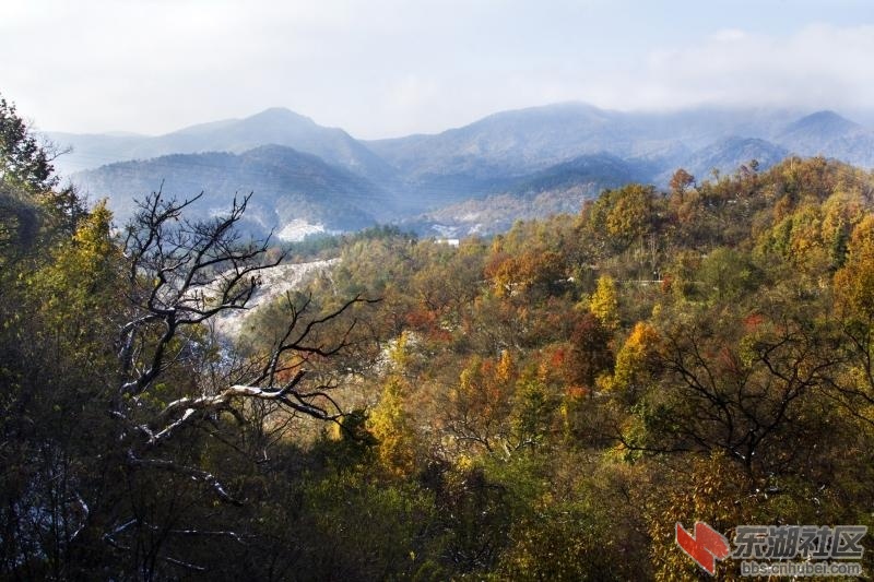 生态京山-京山风景展示 中部崛起 东湖社区 荆楚网