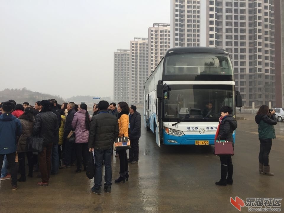 QQ图片20151231095553.jpg