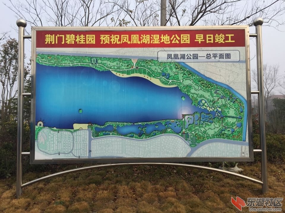 QQ图片20151231095721.jpg