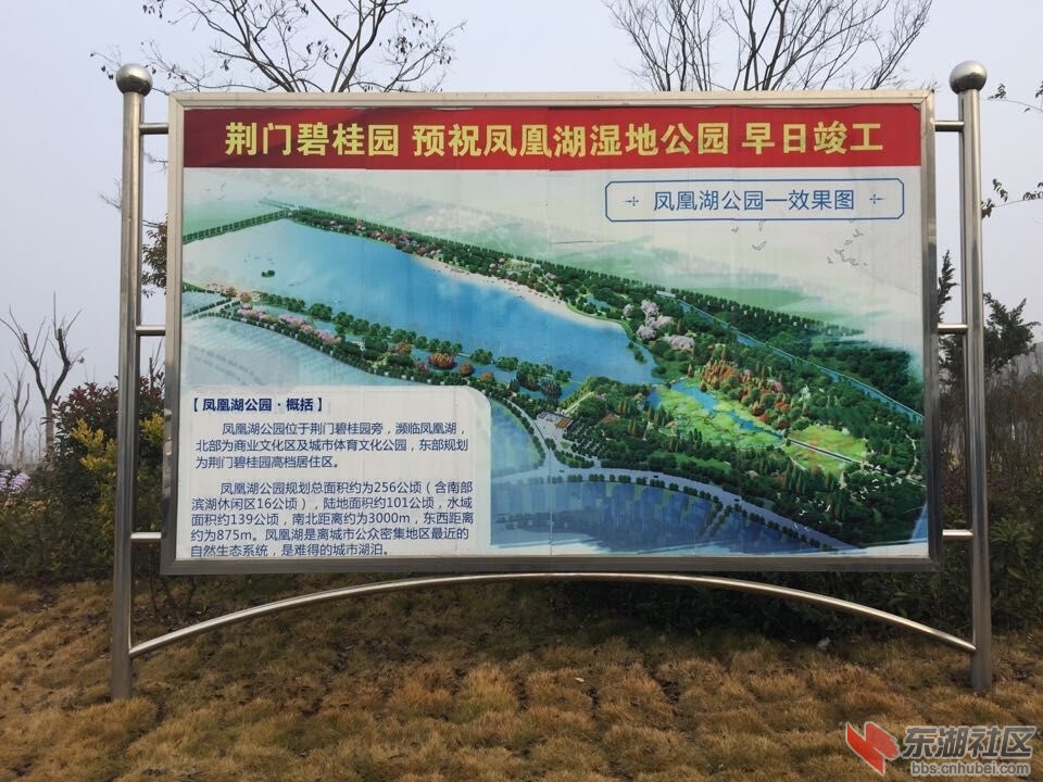 QQ图片20151231095648.jpg