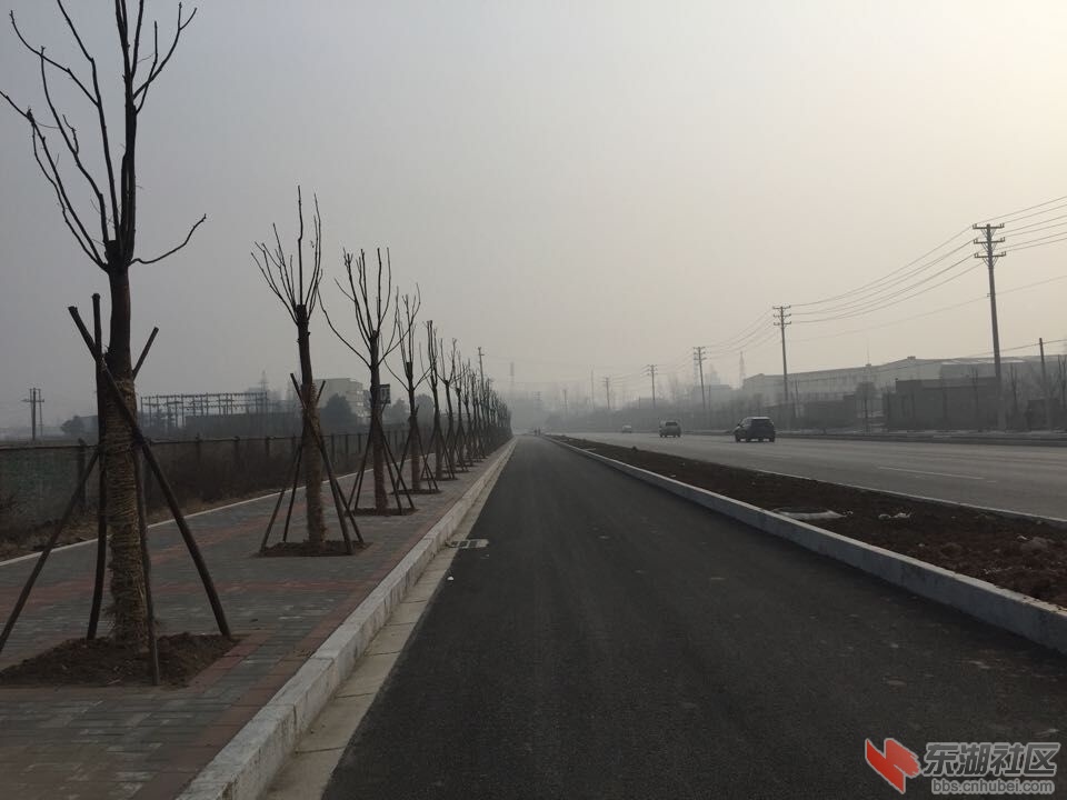 QQ图片20151231095658.jpg
